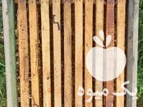 فروش زنبور عسل در گالیکش در گروه زنبورعسل - زنبورداری نوین صنعتی مدرن کندو در یکمیوه -عکس1
