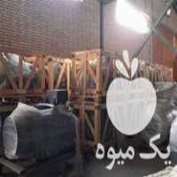 فروش الکتروموتورهای صنعتی سه فاز در تهران در گروه اسب و الاغ خر و فروش قاطر- ترکمن عربی سفید نر و ماده در یکمیوه