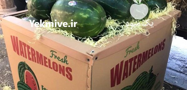 فروش باکس پالت و جعبه صادراتی هندوانه در شیراز در گروه خرید فروش عمده هندوانه - صادراتی گرد بیضی زرد قرمز در یکمیوه -عکس1