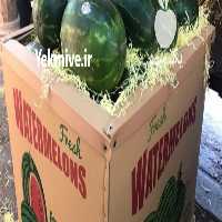 فروش باکس پالت و جعبه صادراتی هندوانه در شیراز در گروه خرید فروش عمده هندوانه - صادراتی گرد بیضی زرد قرمز در یکمیوه