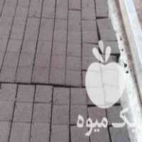 فروش زغال فشرده پسته نارگیل در امیرکلا در گروه خرید فروش عمده چوب- زغال چوب گردو تبریزی خام در یکمیوه