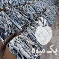 فروش زغال پسته سفید در بوکان در گروه خرید فروش عمده چوب- زغال چوب گردو تبریزی خام در یکمیوه