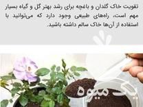 فروش گل وگیاه کود ارگانیک فضله کرم ابریشم در خان ببین در گروه خرید فروش عمده گیاهان زینتی - گرمسیری آپارتمانی باغچه آب در یکمیوه -عکس1
