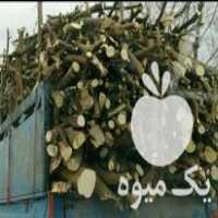 خرید انواع چوب الات باغی با بهترین قیمت در ساری در گروه خرید فروش عمده چوب- زغال چوب گردو تبریزی خام در یکمیوه