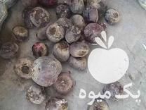 فروش سیب زمینی پیاز در اصفهان در گروه خرید فروش عمده پیاز - قرمز سفید زرد ترشی تازه انباری در یکمیوه -عکس1