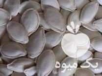 فروش بذر تخمه کدوگوشتی در بهار  در گروه خرید فروش عمده آفتابگردان - تخمه خوی دیم گل در یکمیوه -عکس1