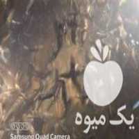 خرید بچه ماهی قزل آلا تحت لیسانس اسپانیا در اصفهان در گروه انواع ماهی - سالمون شیر کپور قرمز شوریده سفید گوپی مرکب در یکمیوه