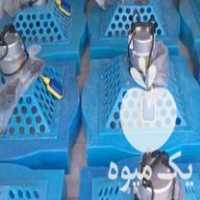 فروش هواده اسپلش پرورش ماهی در بروجرد در گروه تجهیزات ماهیگیری - خرید و فروش محصولات در یکمیوه