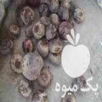 فروش سیب زمینی پیاز در اصفهان در گروه خرید فروش عمده پیاز - قرمز سفید زرد ترشی تازه انباری در یکمیوه