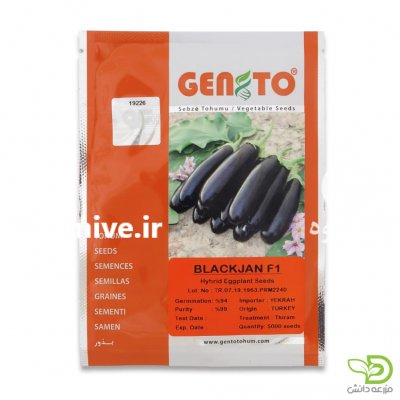 بذر بادمجان جنتو در میناب در گروه خرید فروش عمده بادمجان - قلمی دلمه کبابی مشکی سفید در یکمیوه