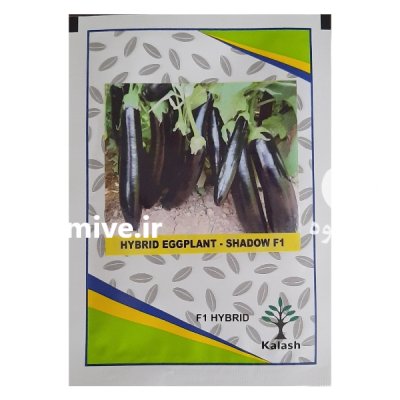 بذر بامجان کلش در میناب در گروه خرید فروش عمده بادمجان - قلمی دلمه کبابی مشکی سفید در یکمیوه