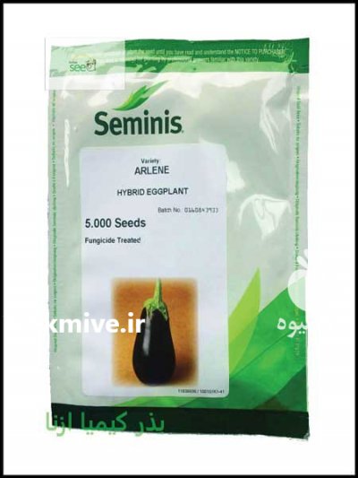 بذر بادمجان سیمنس(ارلن) در میناب در گروه خرید فروش عمده بادمجان - قلمی دلمه کبابی مشکی سفید در یکمیوه