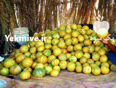 بذر خیار هشت خط در میناب در گروه خرید فروش عمده ملون - صادراتی صیفی تازه فروش عمده در یکمیوه