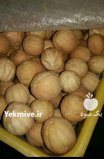 فروش لیموخشک سوپر در جهرم در گروه خرید فروش عمده لیمو ترش - شیرازی باریج سنگی در یکمیوه -عکس2