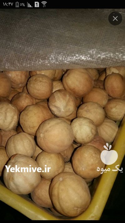 فروش لیموخشک سوپر در جهرم در گروه خرید فروش عمده لیمو ترش - شیرازی باریج سنگی در یکمیوه -عکس3