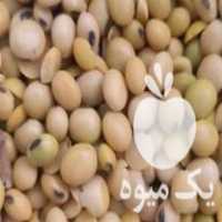 فروش سویا ، دانه سویا در بهبهان در گروه خرید فروش عمده سویا - خوراکی تیم اسپانیول روغن در یکمیوه