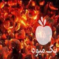 فروش تولید و پخش انواع زغال در فردوس در گروه خرید فروش عمده چوب- زغال چوب گردو تبریزی خام در یکمیوه