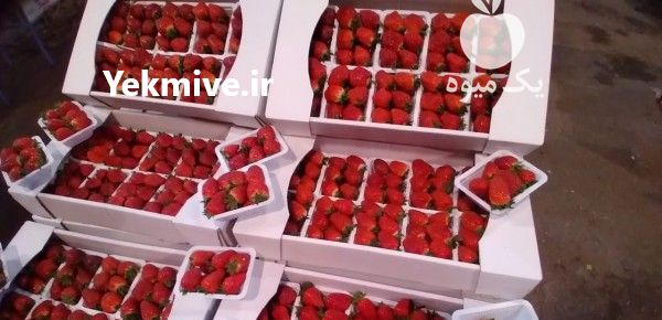 قابل توجه کشاورزان و باربارکن های عزیز در تهران در گروه بارفروشی محصولات کشاورزی بار فروش تهران دزفول کرمان کرج در یکمیوه -عکس1