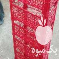 فروش سبد گیلاس و هلو در سلمان شهر در گروه خرید فروش انواع سبد - میوه پلاستیکی چوبی گل در یکمیوه
