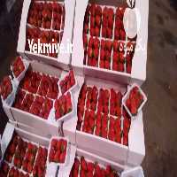 قابل توجه کشاورزان و باربارکن های عزیز در تهران در گروه بارفروشی محصولات کشاورزی بار فروش تهران دزفول کرمان کرج در یکمیوه