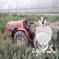 فروش تراکتور کمر شکن گلدونی 930 در تهران در گروه خرید فروش ابزار ها و تجهیزات کشاورزی - دستی برقی ماشینی بیل کلنگ در یکمیوه