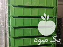 فروش سبد پرورش میلورم و ماهی و  در یزد در گروه خرید فروش انواع سبد - میوه پلاستیکی چوبی گل در یکمیوه -عکس1