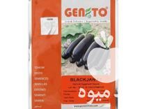 فروش بذر بادمجان قلم جنتو در بندرعباس در گروه خرید فروش بذر - انواع محصول کشاورزی گوجه کتان میوه درخت در یکمیوه -عکس1