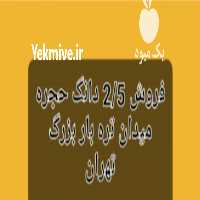 فروش  دانگ حجره میدان میوه تره بار تهران در گروه حجره در میدان تره بار - میادین میوه و تره بار مرکزی شهری استان در یکمیوه