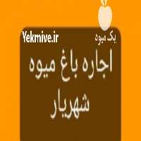 فروش اجاره باغ میوه در شهریار در تهران در گروه خرید فروش عمده آلو - آلوچه گوجه سبز زرد خاکی شابلون سانتریزه سیاه در یکمیوه