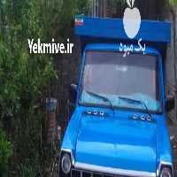 باربر نیسانی حمل بار با نیسان در گرگان در گروه خرید فروش عمده هلو - زعفرانی حاج کاظمی سفید هسته جدا در یکمیوه