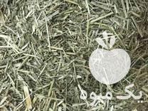 فروش خوراک دام علوفه در اردبیل در گروه خوراک دام و طیور - پرواری شیری علوفه یونجه در یکمیوه -عکس1