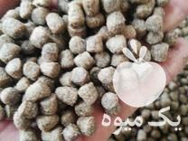 فروش خوراک اکسترود ماهی کپور و کوی در بوشهر در گروه خوراک شیلات و آبزیان - ماهی گیلان خوزستان چابهار بوشهر در یکمیوه -عکس1