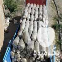 فروش عمده علوفه هیدروپونیک در کرمان  در گروه خوراک دام و طیور - پرواری شیری علوفه یونجه در یکمیوه