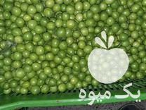 خریدار گوجه سبز آلوچه سیر خیار محلی در بابل  در گروه فرآورده های آلو و آلوچه - بخارا خورشتی مسما خشک در یکمیوه -عکس1