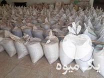 فروش پوست پسته اسیاب شده در کرمان  در گروه پسته - کوهی شامی خام اکبری تازه کله قوچی در یکمیوه -عکس1