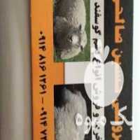 خرید و فروش سایر پشم گوسفند در مهاباد در گروه گاو و گوسفند و میش و بز کهره گوساله سمینتال در یکمیوه