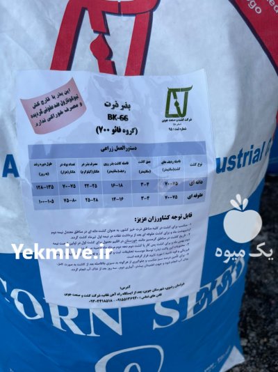 بذر ذرت 704 مغان در تربت جام در گروه خرید فروش انواع بسته بندی کاغذی - کارتن مقوا در یکمیوه -عکس2