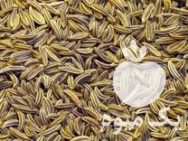 گیاهان دارویی و ادویه جات اعلا خرید و فروش عمده در اصفهان در گروه ادویه - ترشی کاری ادویه جات خشک در یکمیوه -عکس1