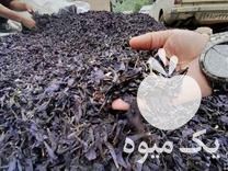 فروش عمده انواع گیاهان دارویی تازه و خشک شده در تهران در گروه خرید فروش عمده گیاهان دارویی - معطر خشک خواص دار در یکمیوه -عکس1