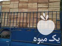 فروش جعبه‌های چوبی انگور سیاه در سردشت در گروه خرید فروش عمده انگور - یاقوتی شانی عسگری بی دانه قرمز در یکمیوه -عکس1