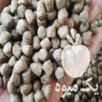 فروش غذای اکسترود ماهی کپور وتیلاپیا وکوی در رباط سنگ در گروه خوراک شیلات و آبزیان - ماهی گیلان خوزستان چابهار بوشهر در یکمیوه