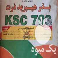 فروش انواع بذر ذرت در اصفهان در گروه خرید فروش عمده ذرت - بلال مکزیکی علوفه دانه کشاورز در یکمیوه