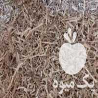 فروش خاک اره و پوشال چوب گردو در اصفهان در گروه خرید فروش عمده چوب- زغال چوب گردو تبریزی خام در یکمیوه