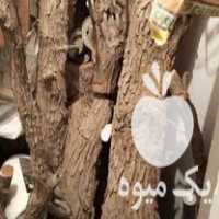 فروش چوب عناب سرخ در ملایر در گروه خرید فروش عمده چوب- زغال چوب گردو تبریزی خام در یکمیوه