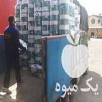 فروش پخش نوار تیپ آبگستر زنجان و دستگاه جوش پلی اتیلن در گروه خرید فروش اتصالات و تجهیزات آبیاری - شیر لوله نوار در یکمیوه