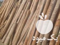 چوببری دوستان فروش انواع چوب از همه رقم در شبستر در گروه خرید فروش عمده چوب- زغال چوب گردو تبریزی خام در یکمیوه -عکس1