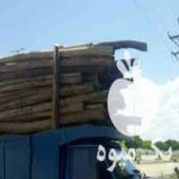 خرید و چوب در تکاب در گروه خرید فروش عمده چوب- زغال چوب گردو تبریزی خام در یکمیوه