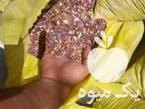 فروش مواد آسیابی سبد آسیابی پلاستیک در تهران در گروه خرید فروش انواع سبد - میوه پلاستیکی چوبی گل در یکمیوه -عکس1