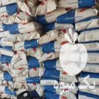 فروش انواع بذر ذرت در سبزوار در گروه خرید فروش بذر - انواع محصول کشاورزی گوجه کتان میوه درخت در یکمیوه