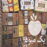 فروش کارتن موز و موزی در تهران در گروه خرید فروش انواع بسته بندی کاغذی - کارتن مقوا در یکمیوه